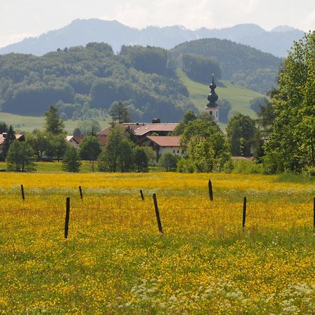 Ferienwohnungen Im Alpengaestehaus Marzoll - Bad Reichenhall Esterno foto