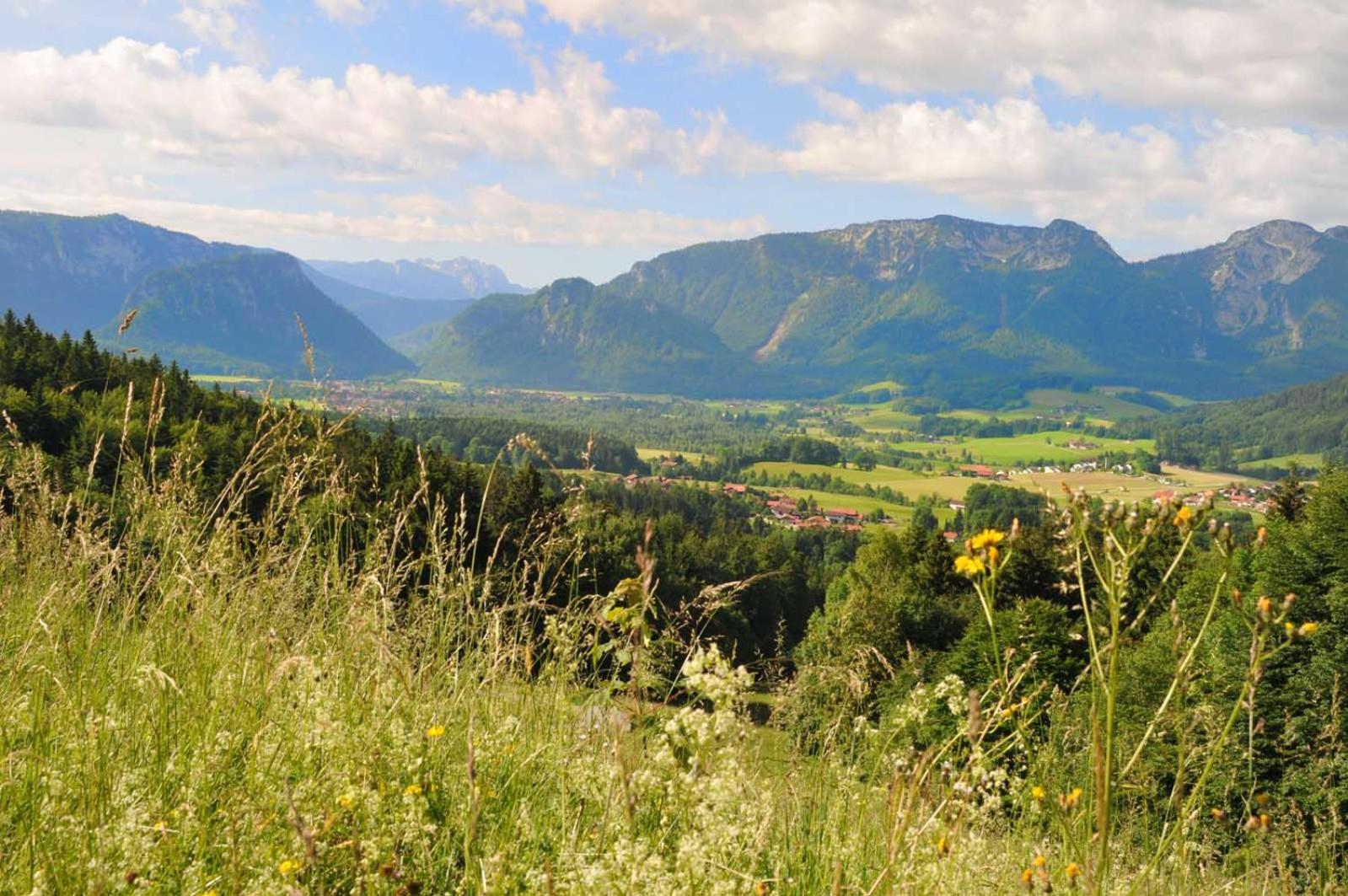 Ferienwohnungen Im Alpengaestehaus Marzoll - Bad Reichenhall Esterno foto