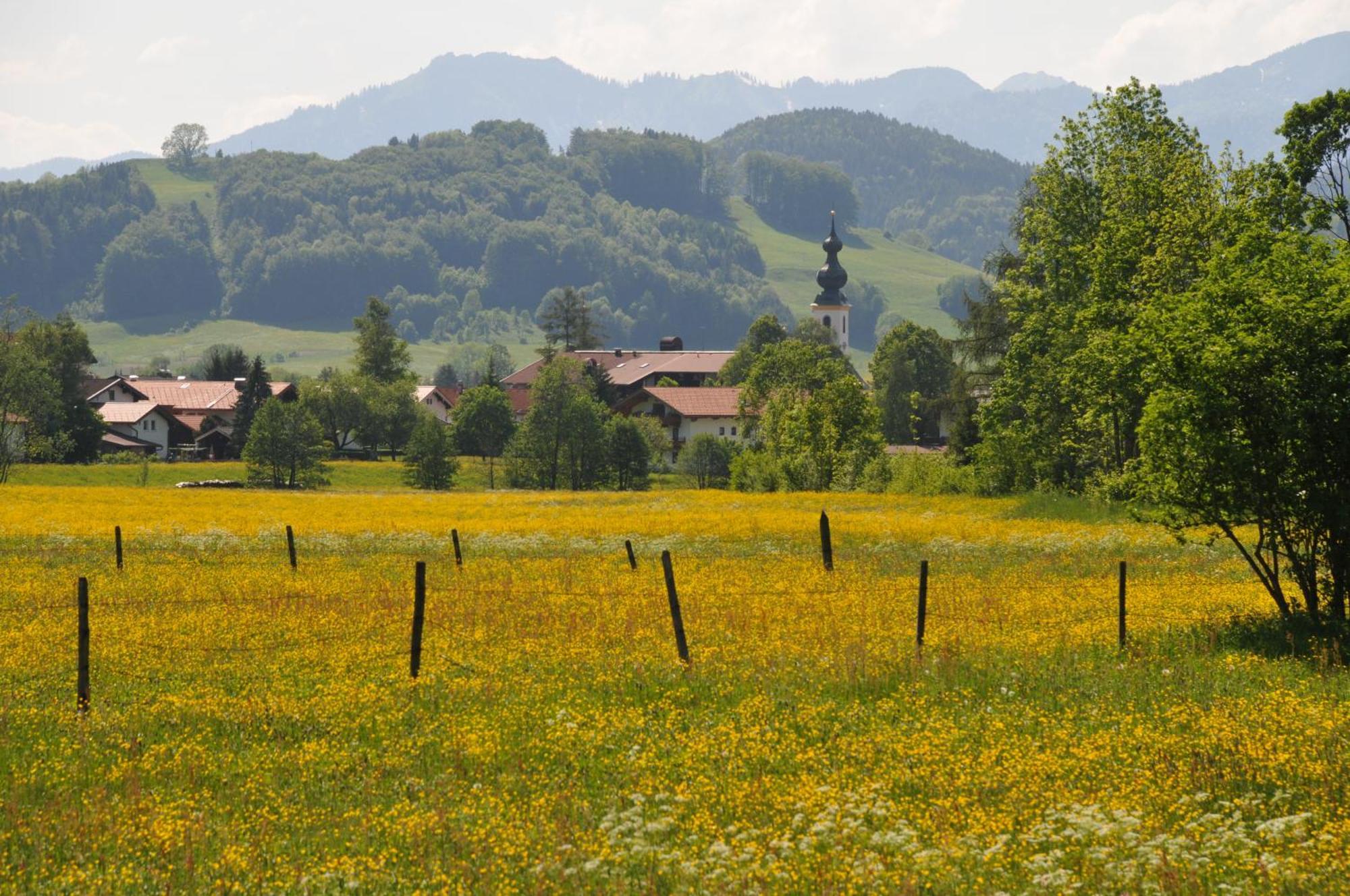 Ferienwohnungen Im Alpengaestehaus Marzoll - Bad Reichenhall Esterno foto