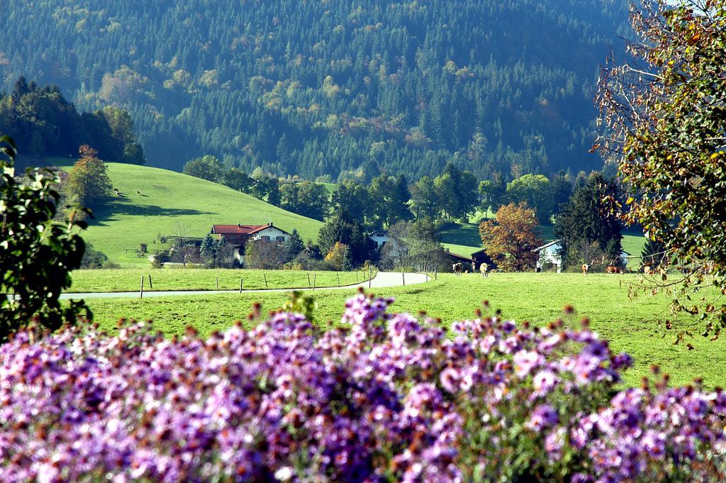 Ferienwohnungen Im Alpengaestehaus Marzoll - Bad Reichenhall Esterno foto